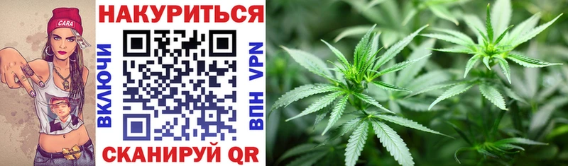 Названия наркотиков Новозыбков Каннабис  LSD-25  АМФЕТАМИН  ГАШ  гидра зеркало  Меф  COCAIN 