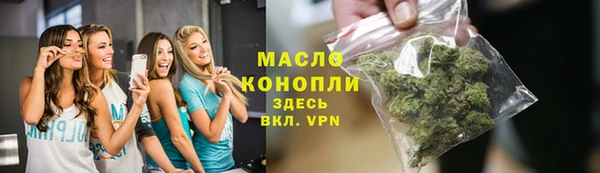 ешки Новодвинск